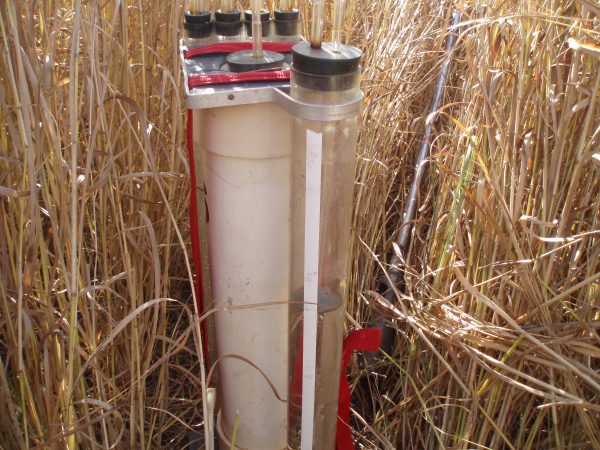 monitoring wetland