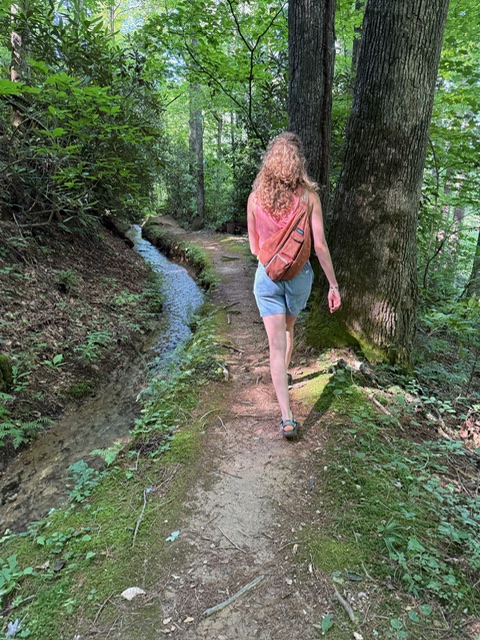 A woman hiking beside a stream in a forest.